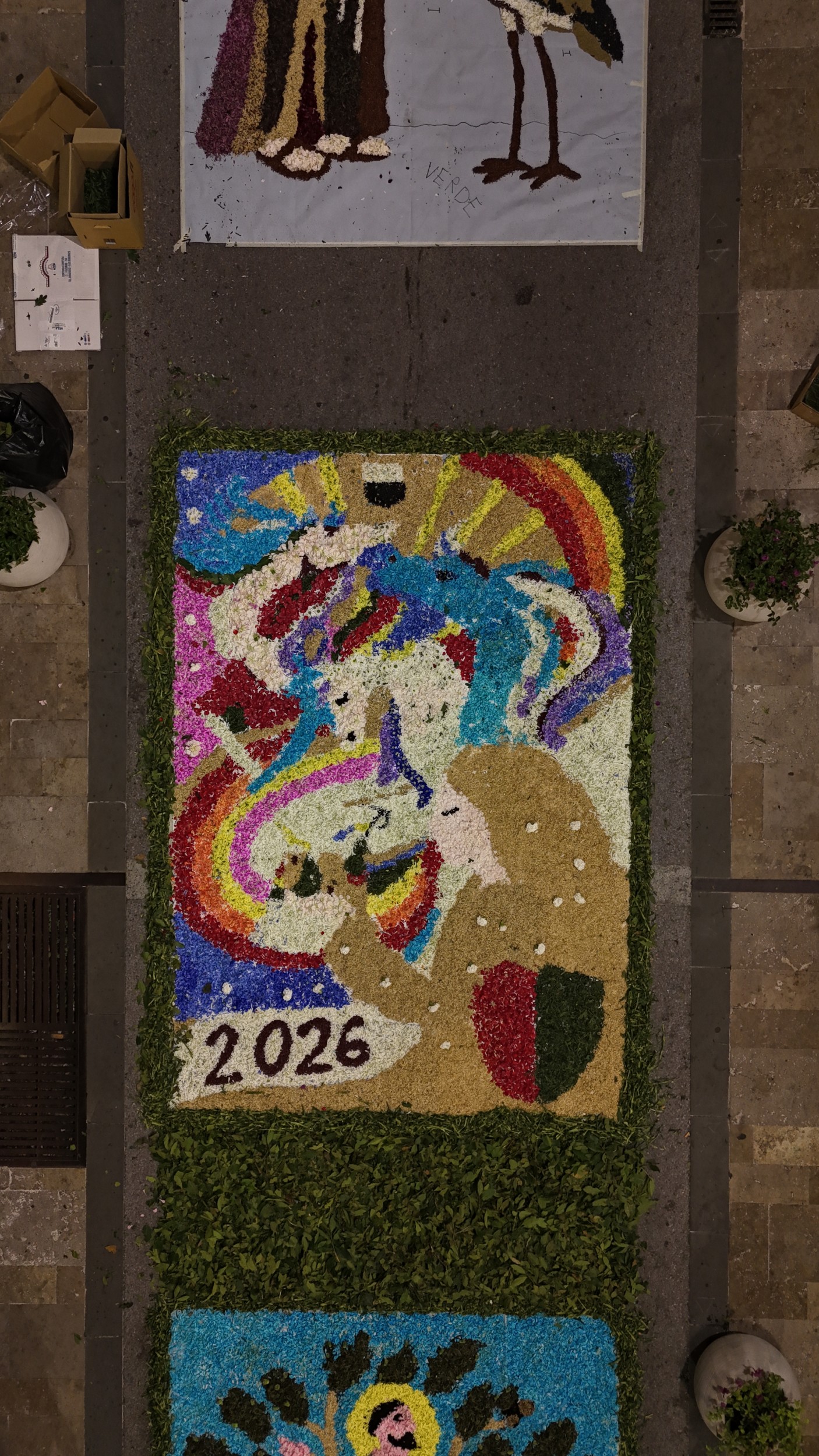 DJI_20260607022726_0450_D.JPG
